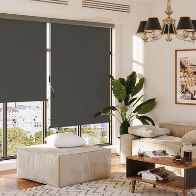 Perlindungan UV Drop Awning dengan Hand-Crank Box untuk Balkon dan Patio Vertikal Awning
